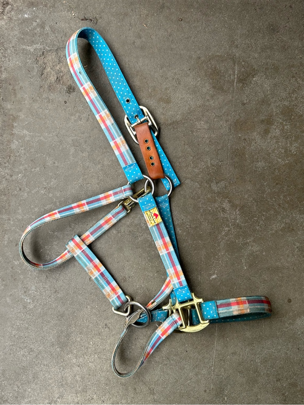 Blue Plaid Horse Halter with Gold Hardware